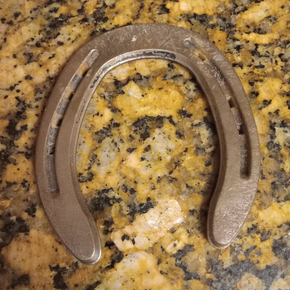 Horse shoe.. pony size